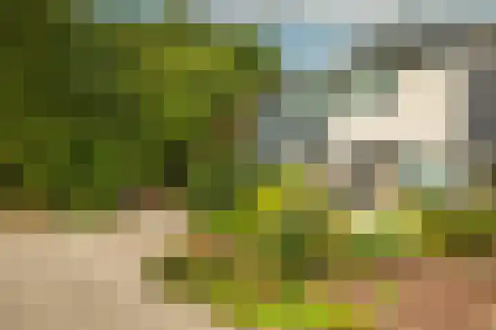 Prof. Einthovenlaan 12 Tiel thumbnail 55