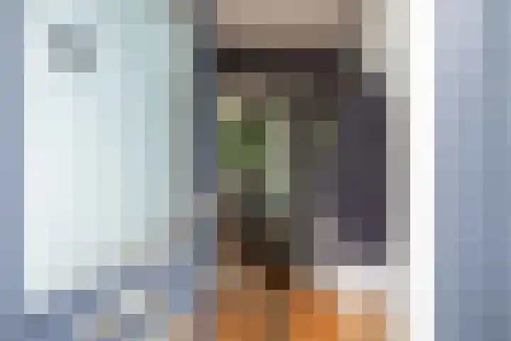 Prof. Einthovenlaan 12 Tiel thumbnail 58