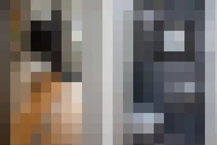 Prof. Einthovenlaan 12 Tiel thumbnail 59