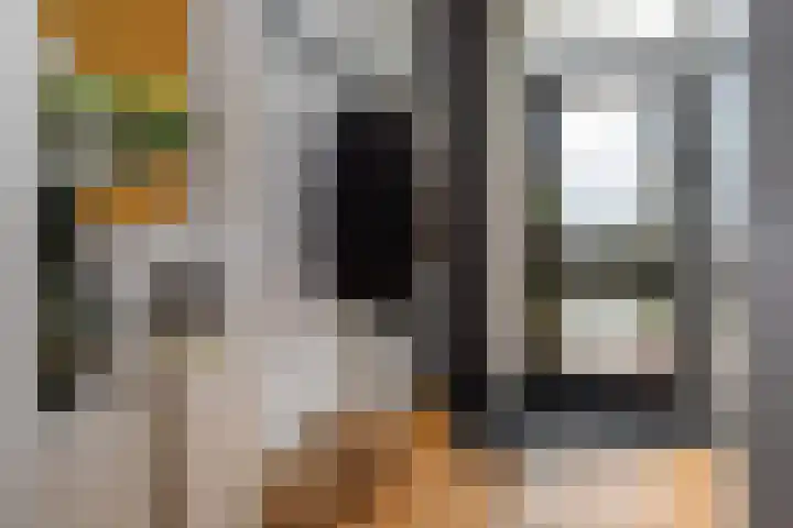 Prof. Einthovenlaan 12 Tiel thumbnail 6