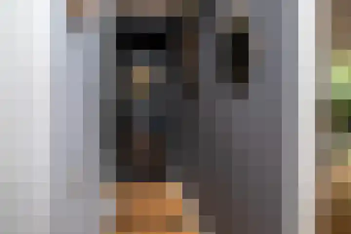 Prof. Einthovenlaan 12 Tiel thumbnail 60