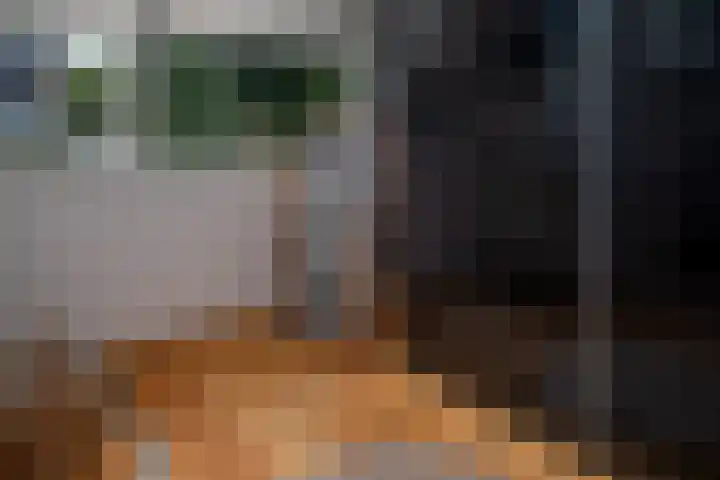 Prof. Einthovenlaan 12 Tiel thumbnail 61