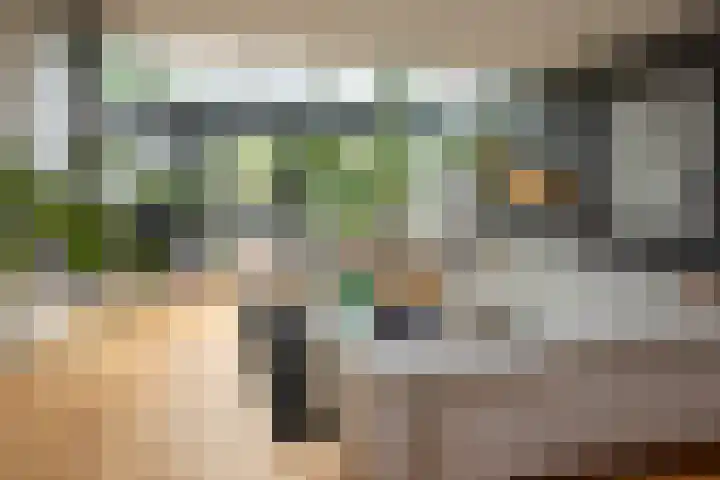Prof. Einthovenlaan 12 Tiel thumbnail 62