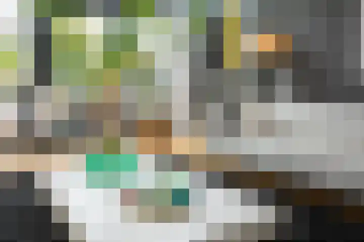 Prof. Einthovenlaan 12 Tiel thumbnail 63