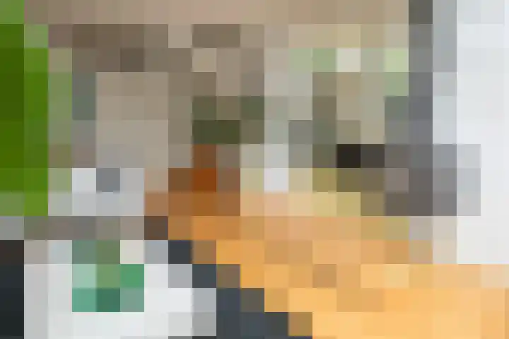 Prof. Einthovenlaan 12 Tiel thumbnail 64