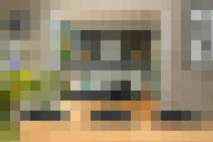 Prof. Einthovenlaan 12 Tiel thumbnail 65