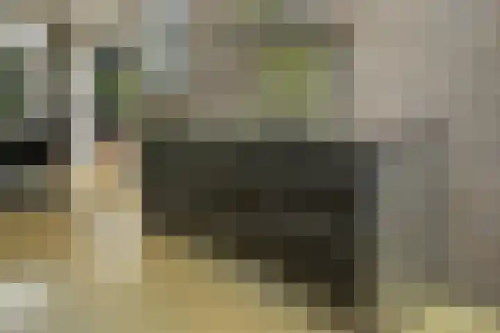 Prof. Einthovenlaan 12 Tiel thumbnail 66