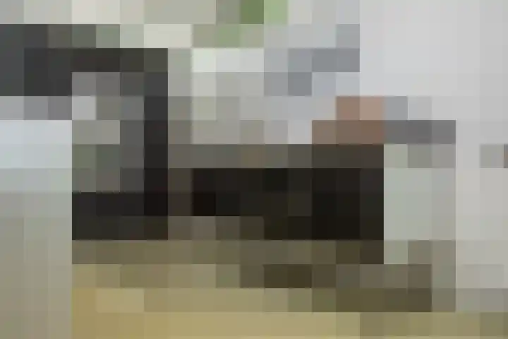 Prof. Einthovenlaan 12 Tiel thumbnail 67