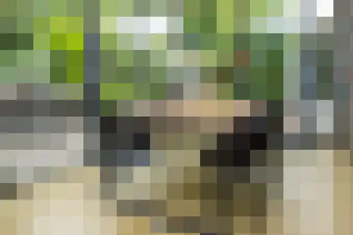 Prof. Einthovenlaan 12 Tiel thumbnail 68