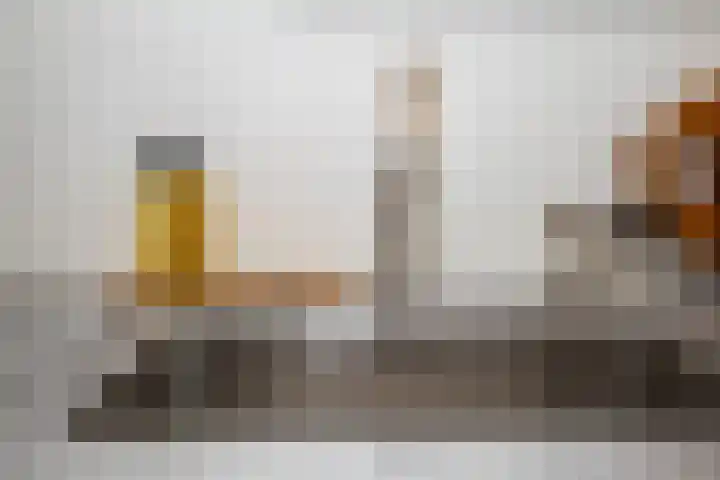 Prof. Einthovenlaan 12 Tiel thumbnail 69
