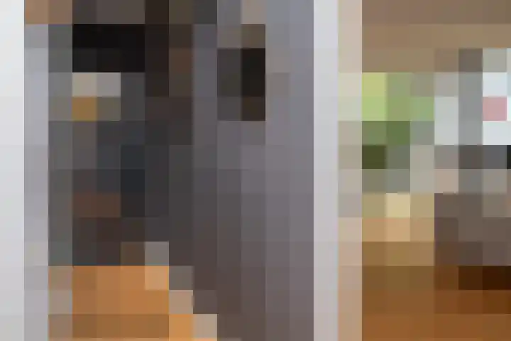 Prof. Einthovenlaan 12 Tiel thumbnail 7