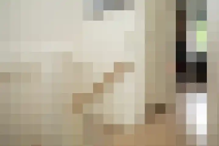 Prof. Einthovenlaan 12 Tiel thumbnail 71
