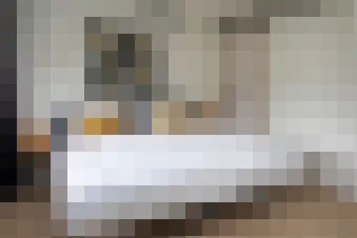 Prof. Einthovenlaan 12 Tiel thumbnail 72