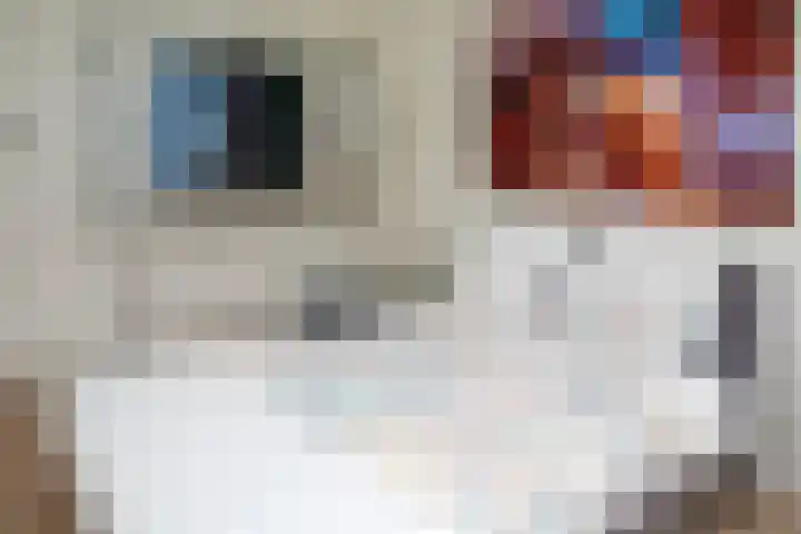 Prof. Einthovenlaan 12 Tiel thumbnail 75