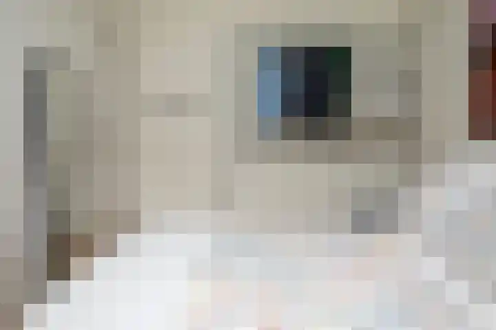 Prof. Einthovenlaan 12 Tiel thumbnail 76