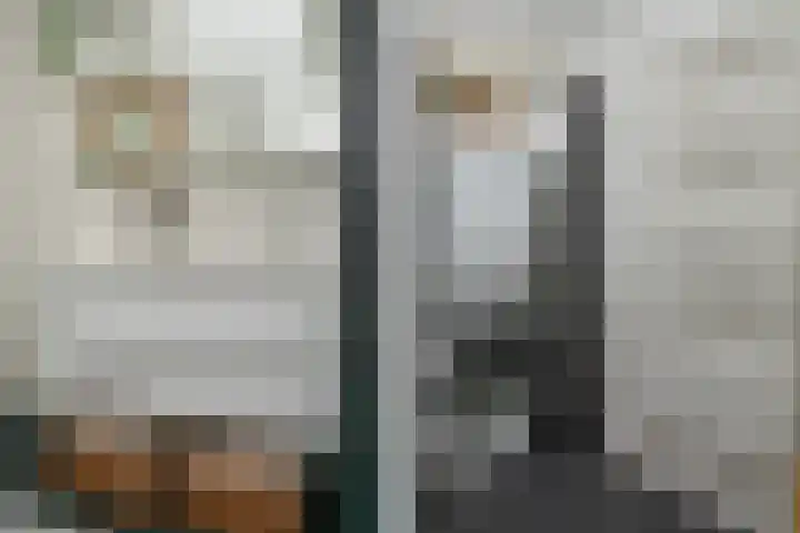Prof. Einthovenlaan 12 Tiel thumbnail 78