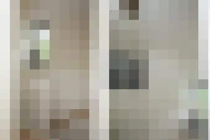 Prof. Einthovenlaan 12 Tiel thumbnail 79