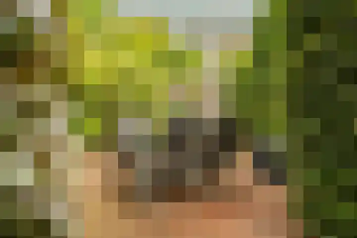 Prof. Einthovenlaan 12 Tiel thumbnail 84
