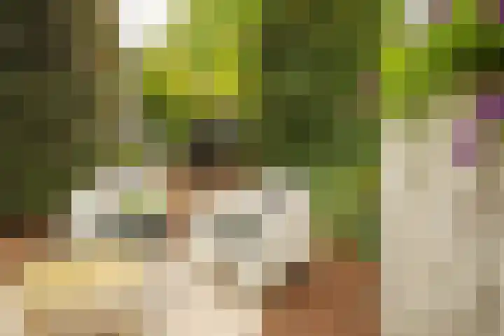 Prof. Einthovenlaan 12 Tiel thumbnail 86