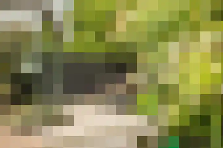 Prof. Einthovenlaan 12 Tiel thumbnail 87