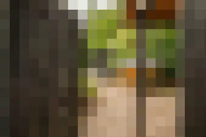 Prof. Einthovenlaan 12 Tiel thumbnail 88