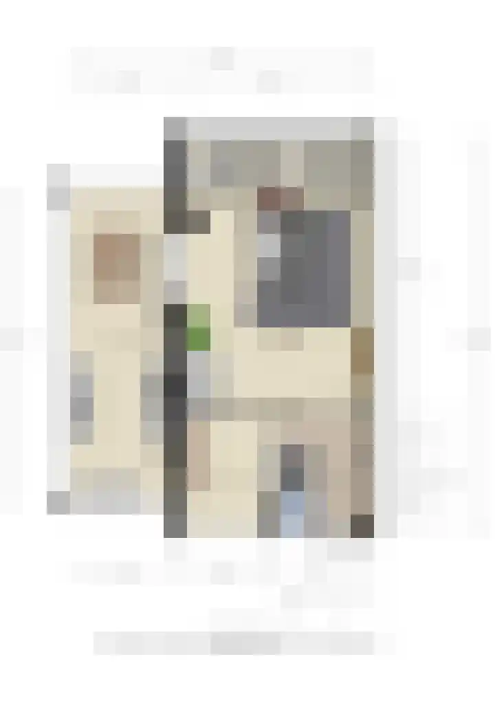 Prof. Einthovenlaan 12 Tiel thumbnail 89