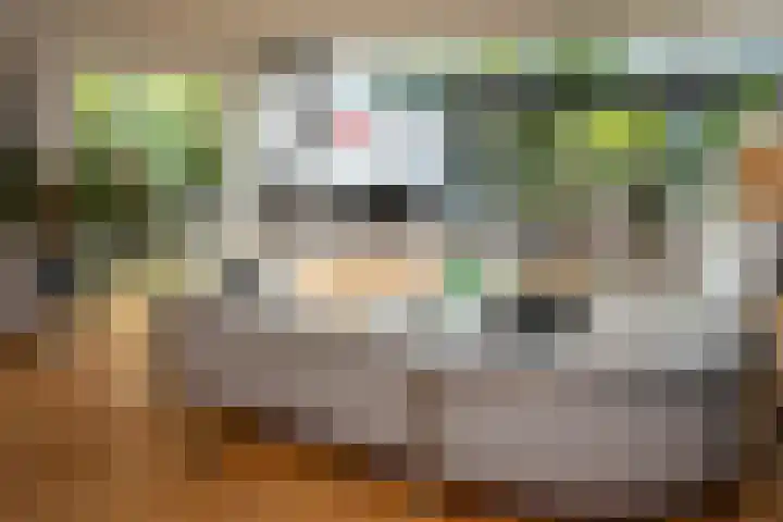Prof. Einthovenlaan 12 Tiel thumbnail 9