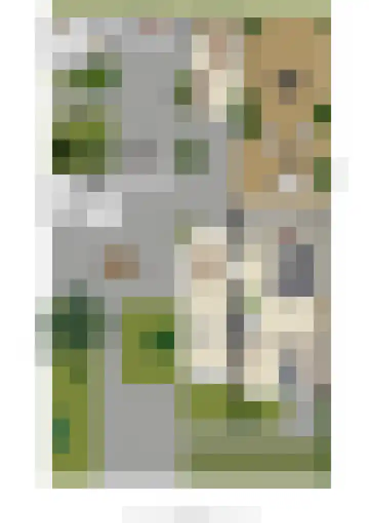 Prof. Einthovenlaan 12 Tiel thumbnail 94