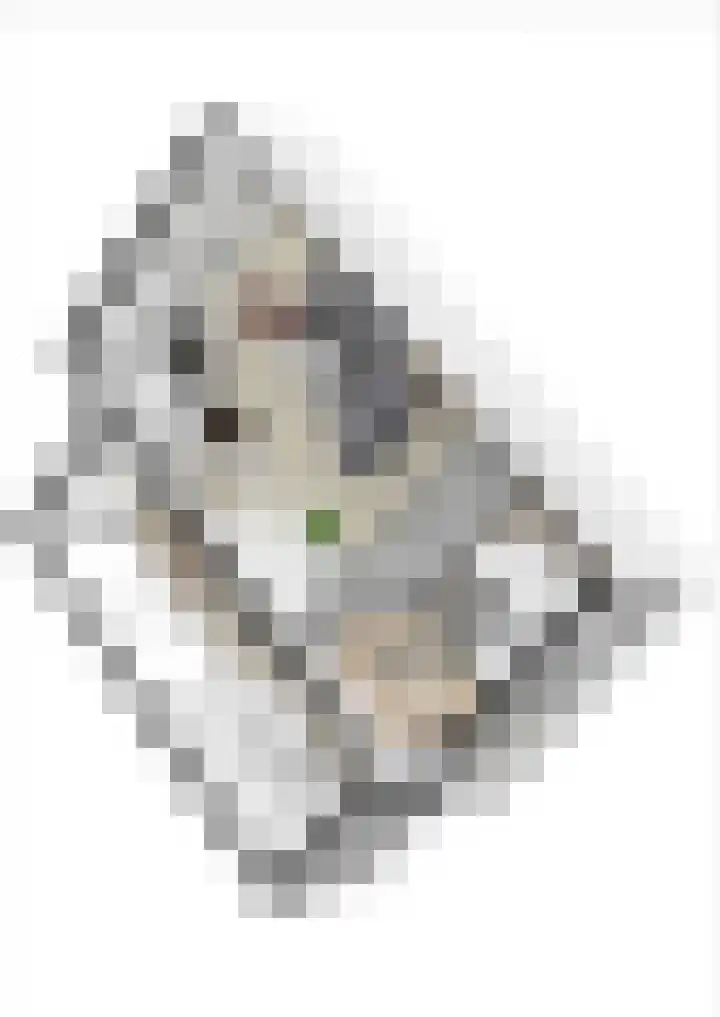 Prof. Einthovenlaan 12 Tiel thumbnail 95
