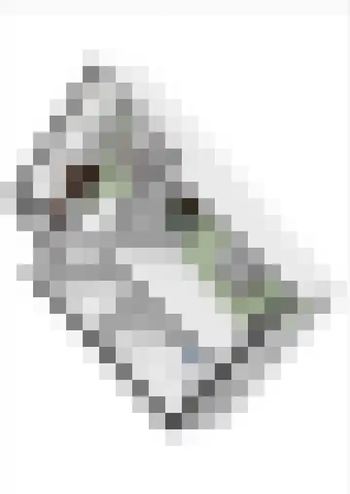 Prof. Einthovenlaan 12 Tiel thumbnail 96