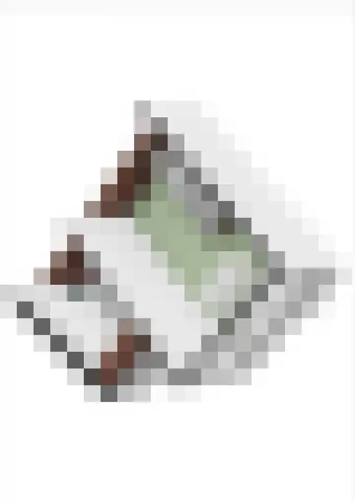 Prof. Einthovenlaan 12 Tiel thumbnail 97