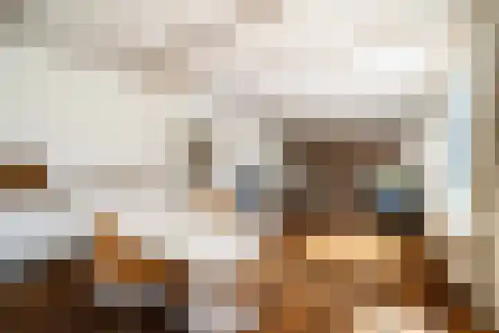 Prof. Evertslaan 122 Delft thumbnail 14