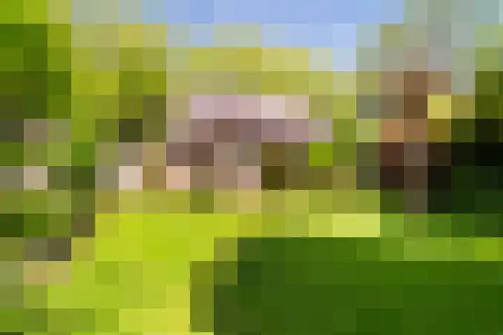 Prof. Evertslaan 122 Delft thumbnail 27