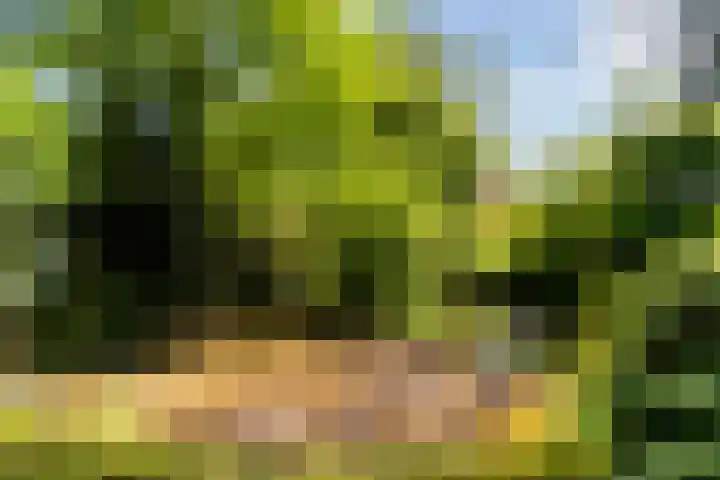 Prof. Evertslaan 122 Delft thumbnail 29