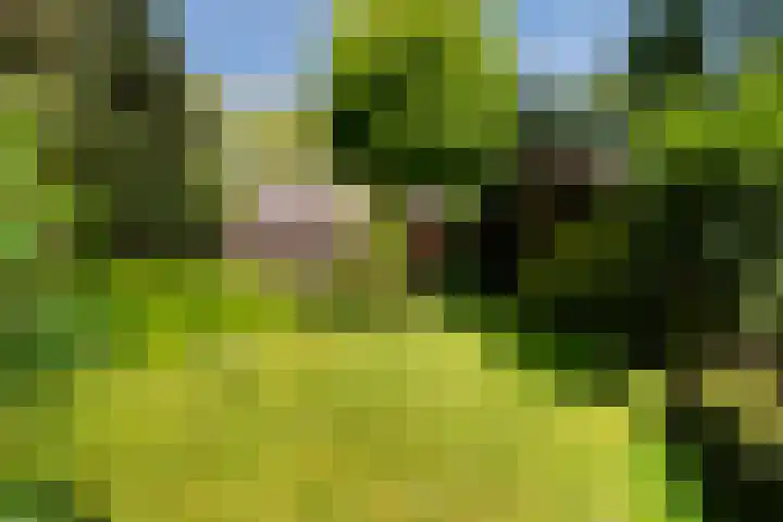 Prof. Evertslaan 122 Delft thumbnail 30