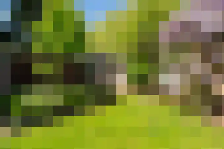 Prof. Evertslaan 122 Delft thumbnail 31