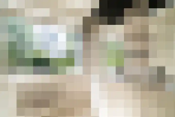 Prof. Evertslaan 122 Delft thumbnail 53