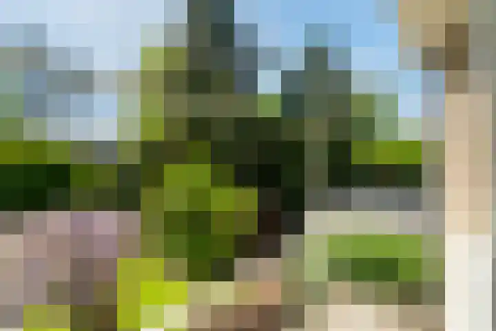 Prof. Evertslaan 122 Delft thumbnail 54