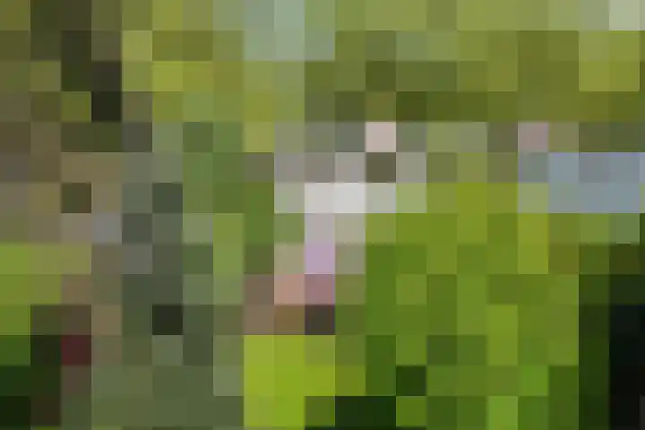 Prof. Evertslaan 122 Delft thumbnail 64