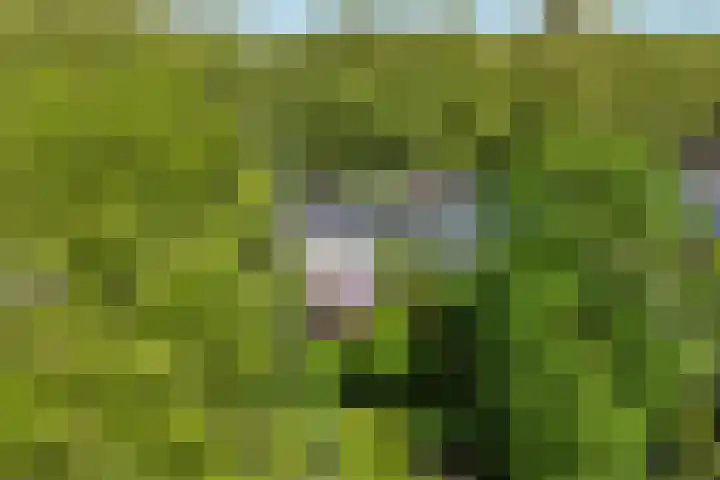 Prof. Evertslaan 122 Delft thumbnail 66