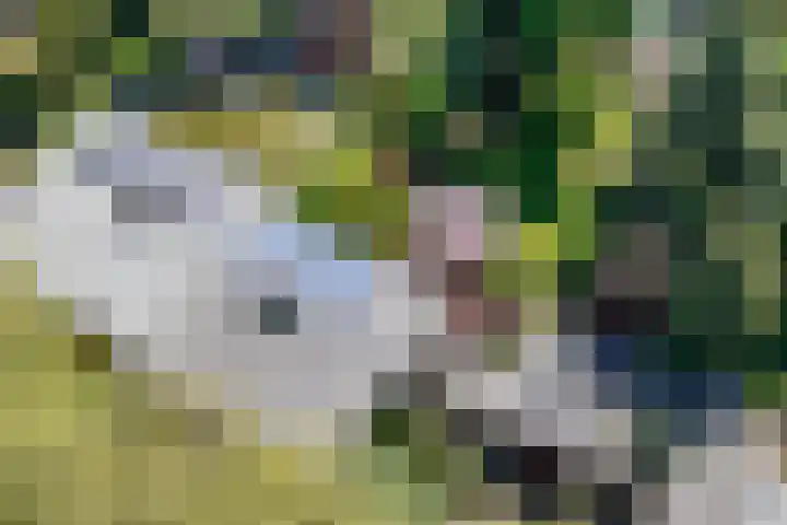 Prof. Evertslaan 122 Delft thumbnail 68