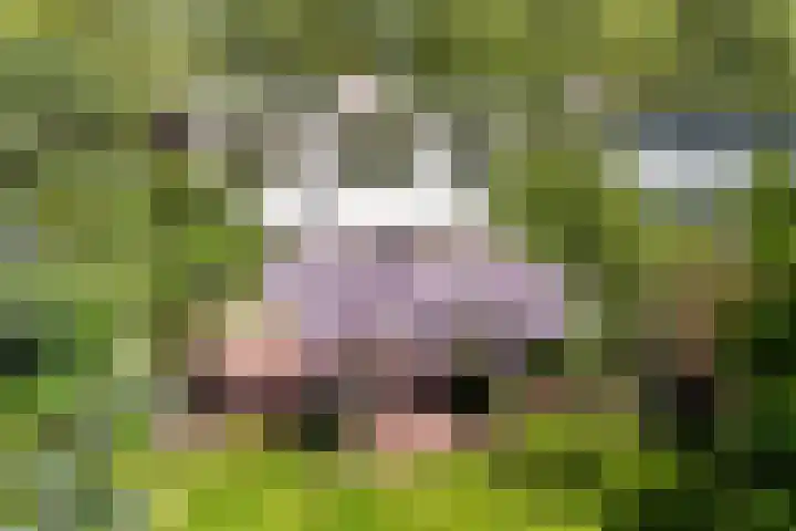 Prof. Evertslaan 122 Delft thumbnail 76