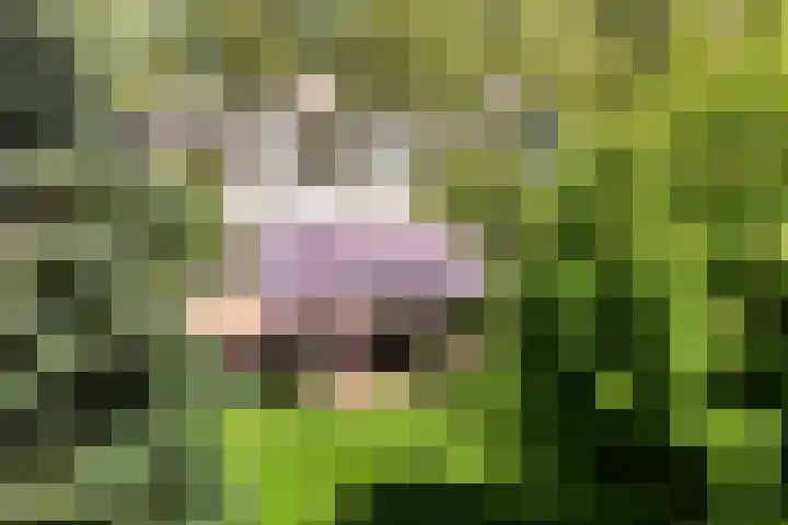 Prof. Evertslaan 122 Delft thumbnail 77