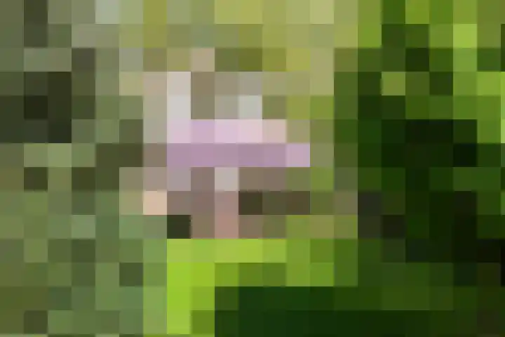 Prof. Evertslaan 122 Delft thumbnail 78