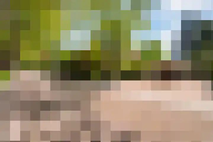 Prof. Evertslaan 122 Delft thumbnail 79