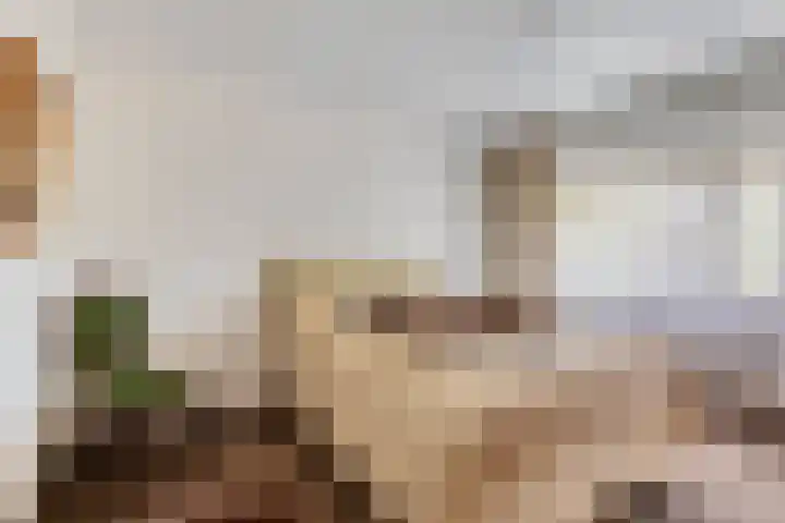 Prof. Eykmanlaan 15 Hoensbroek thumbnail 17