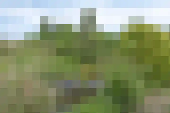 Prof. Eykmanlaan 15 Hoensbroek thumbnail 30