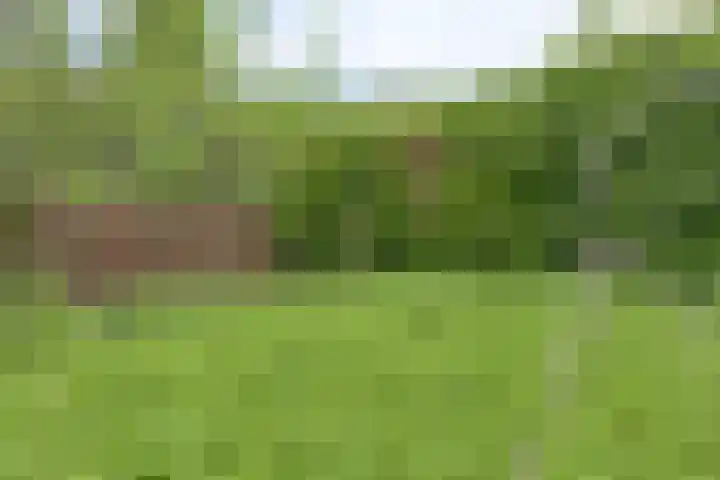 Prof. Eykmanlaan 15 Hoensbroek thumbnail 31