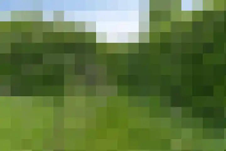 Prof. Eykmanlaan 15 Hoensbroek thumbnail 32