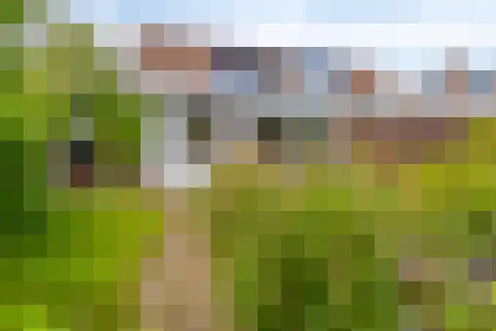Prof. Eykmanlaan 15 Hoensbroek thumbnail 33